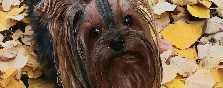 Прогноза за времето в петък