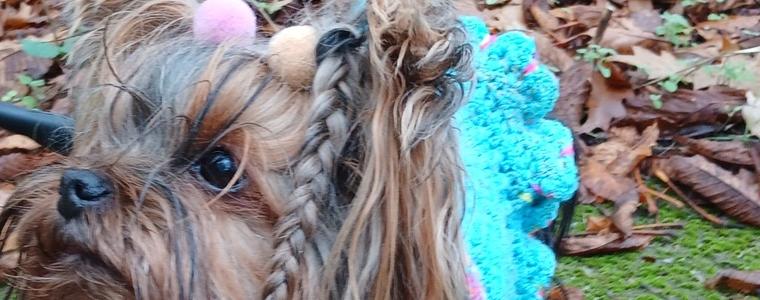 Прогноза за времето в петък