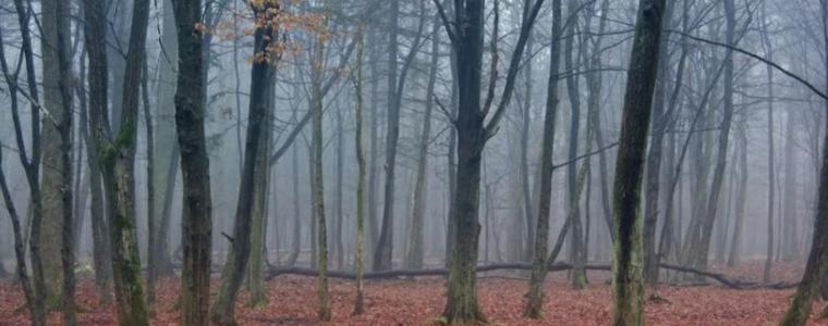 Прогноза за времето в понеделник, 17 ноември