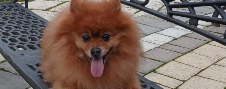 Прогноза за времето в понеделник, 24 ноември