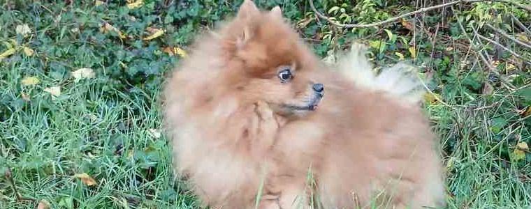 Прогноза за времето в сряда