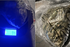 25-годишен добричлия задържан с 94 грама канабис