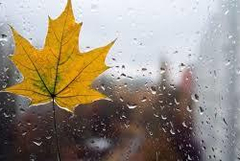 Прогноза за времето в неделя