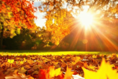 Прогноза за времето в неделя, 2 ноември