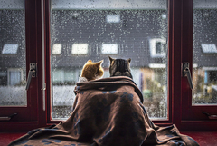 Прогноза за времето в петък