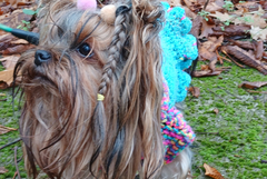 Прогноза за времето в петък