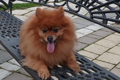 Прогноза за времето в понеделник, 24 ноември