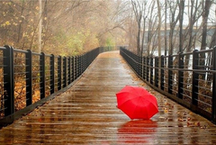 Прогноза за времето в сряда