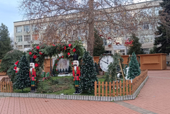 Светлините на коледната елха в Генерал Тошево ще грейнат в петък-28 ноември