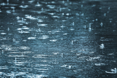 Времето на 11 ноември 