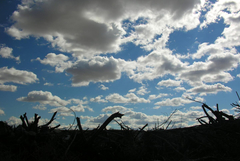 Времето на 8 ноември