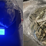 25-годишен добричлия задържан с 94 грама канабис