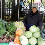 Цени на храните на едро у нас: По-скъпи тиквички, краставици и домати, по-евтини картофи, лук и зеле
