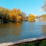 Прогноза за неделя -23 ноември