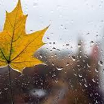 Прогноза за времето в неделя