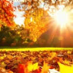 Прогноза за времето в неделя, 2 ноември