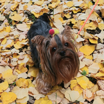 Прогноза за времето в петък