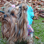 Прогноза за времето в петък