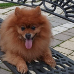 Прогноза за времето в понеделник, 24 ноември