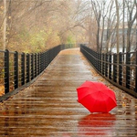 Прогноза за времето в сряда