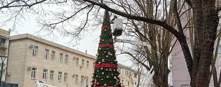 Днес запалват светлините на коледната елха в Добрич