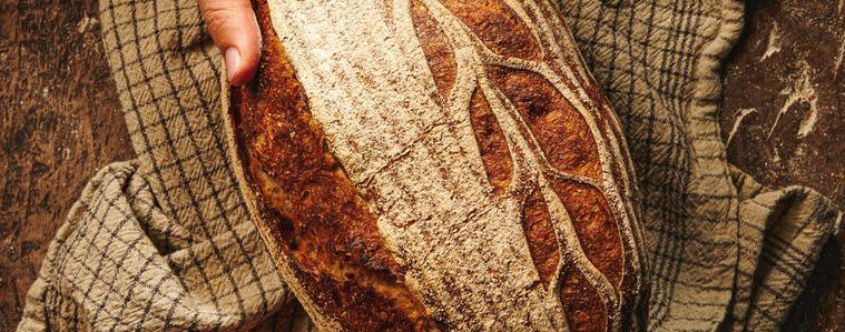 Корените на хляба: знание, ритуал и една жива традиция