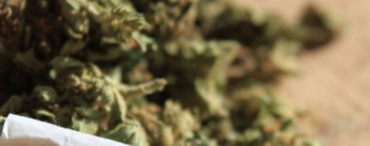 Мъж от Добрич задържан с 4,5 грама канабис