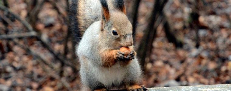 Прогноза за времето на 27 декември