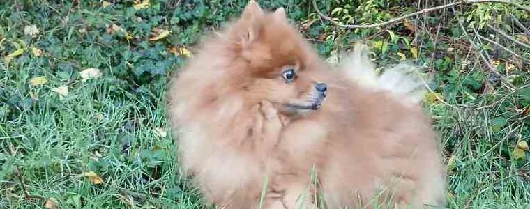 Прогноза за времето в петък, 12 декември