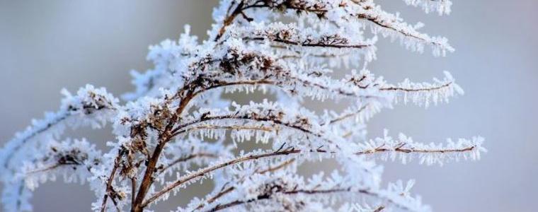 Прогноза за времето в петък, 26 декември