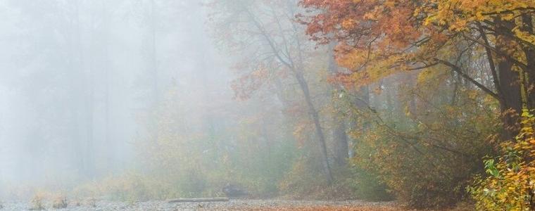Прогноза за времето в понеделник, 22 декември