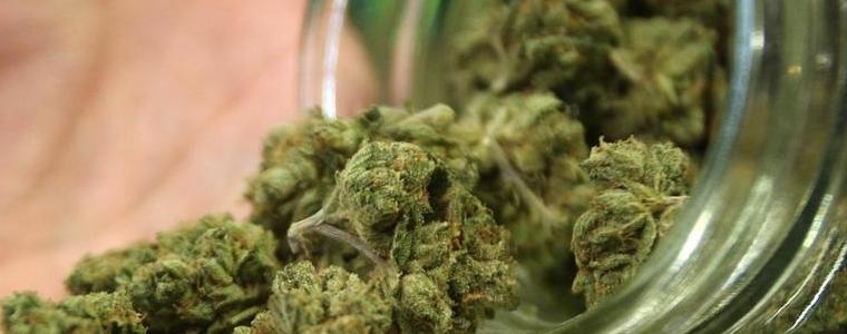 Задържаха 39-годишен мъж с канабис в село Смолница