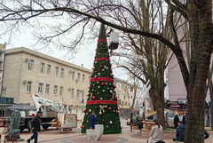 Днес запалват светлините на коледната елха в Добрич