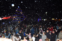 Коледната магия озари Каварна: светлините на елхата бяха запалени