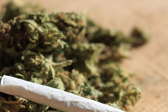 Мъж от Добрич задържан с 4,5 грама канабис