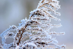 Прогноза за времето в петък, 26 декември