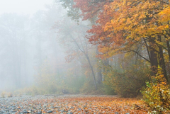 Прогноза за времето в понеделник, 22 декември