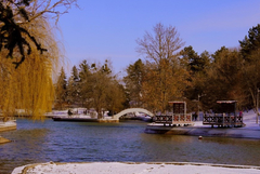 Прогноза за времето в понеделник, 29 декември