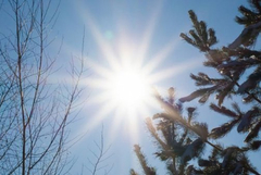 Прогноза за времето във вторник