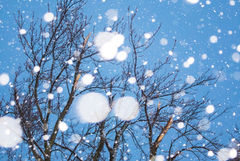 Времето на 28 декември 