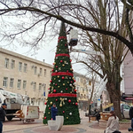 Днес запалват светлините на коледната елха в Добрич