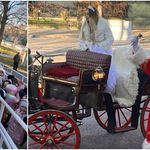 Коледна магия с Дядо Коледа зарадва децата от ДГ №27 „Славейче“