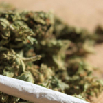 Мъж от Добрич задържан с 4,5 грама канабис