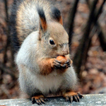 Прогноза за времето на 27 декември