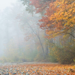 Прогноза за времето в понеделник, 22 декември