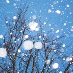 Времето на 28 декември 