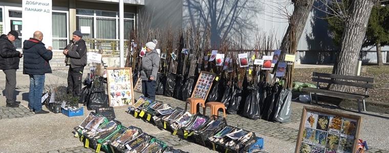 Борса за семена и посадъчен материал в Добрич от 4 до 7 февруари