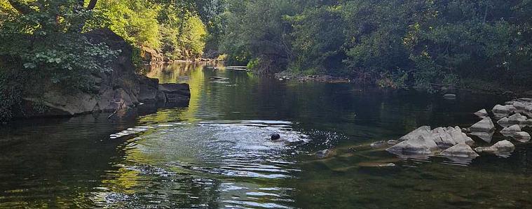  Европа губи последните си диви реки – и това се случва на Балканите