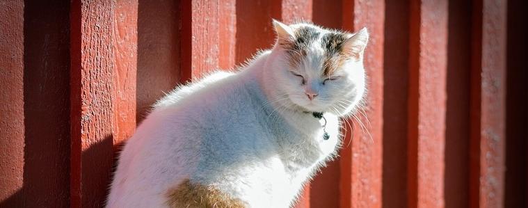 Прогноза за времето на 3 януари 