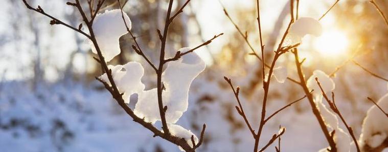 Променливо време в съботния ден.От 3 градуса над нулата до минус 8 утре